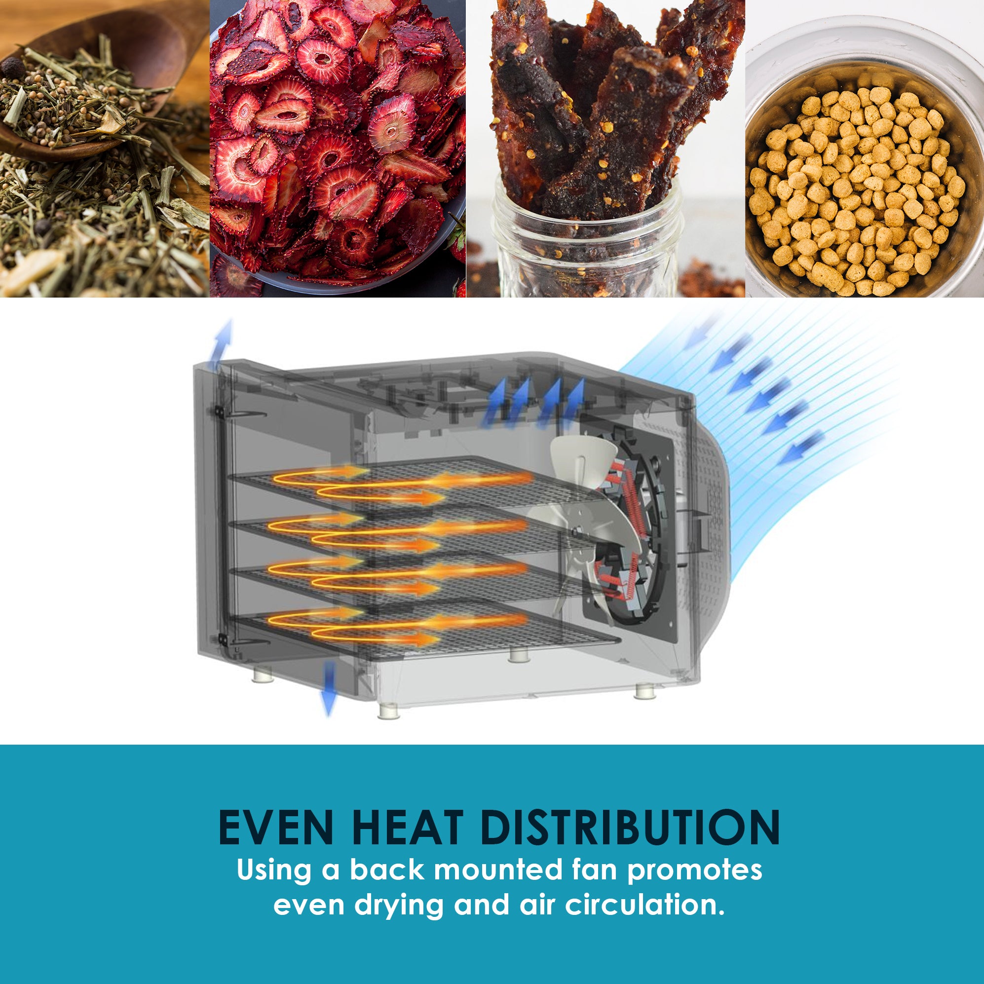 elite-gourmet-food-dehydrators-d-rrautomat-4-ebenen-stahl image 7